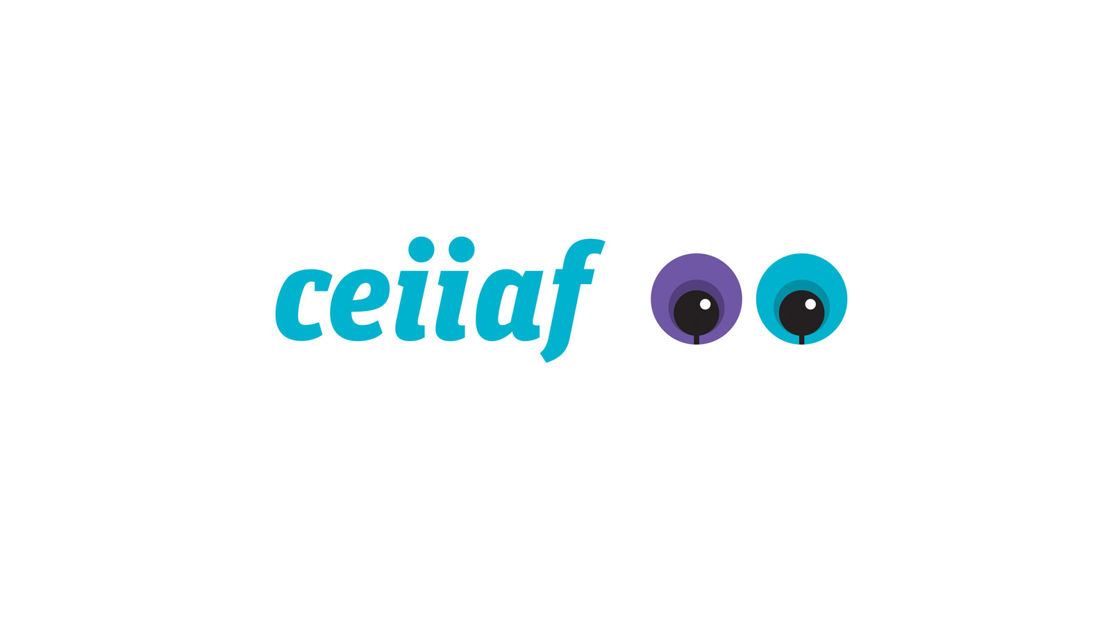 Consultora CEIIAF