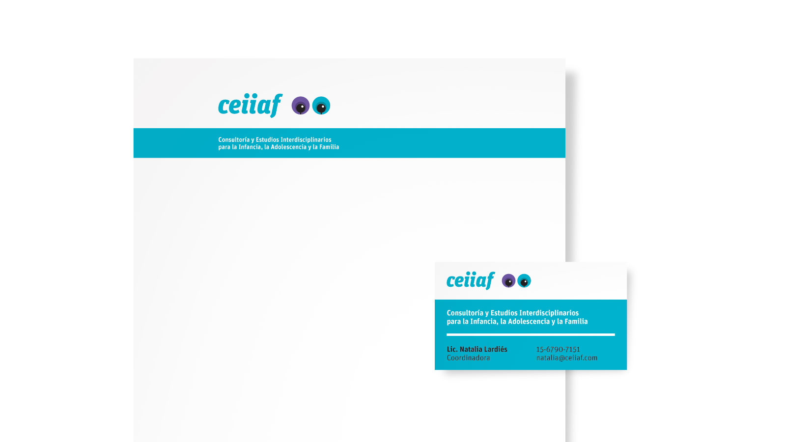 Consultora CEIIAF
