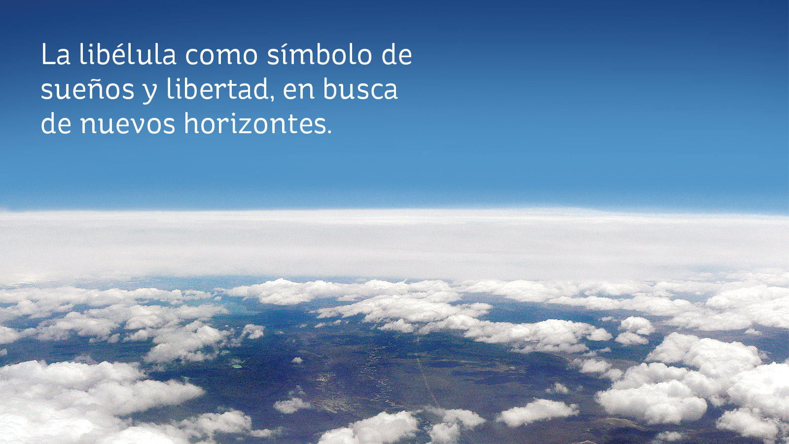Kines Travel